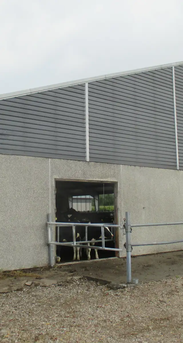 Ny ungdyrsstald i Vejen