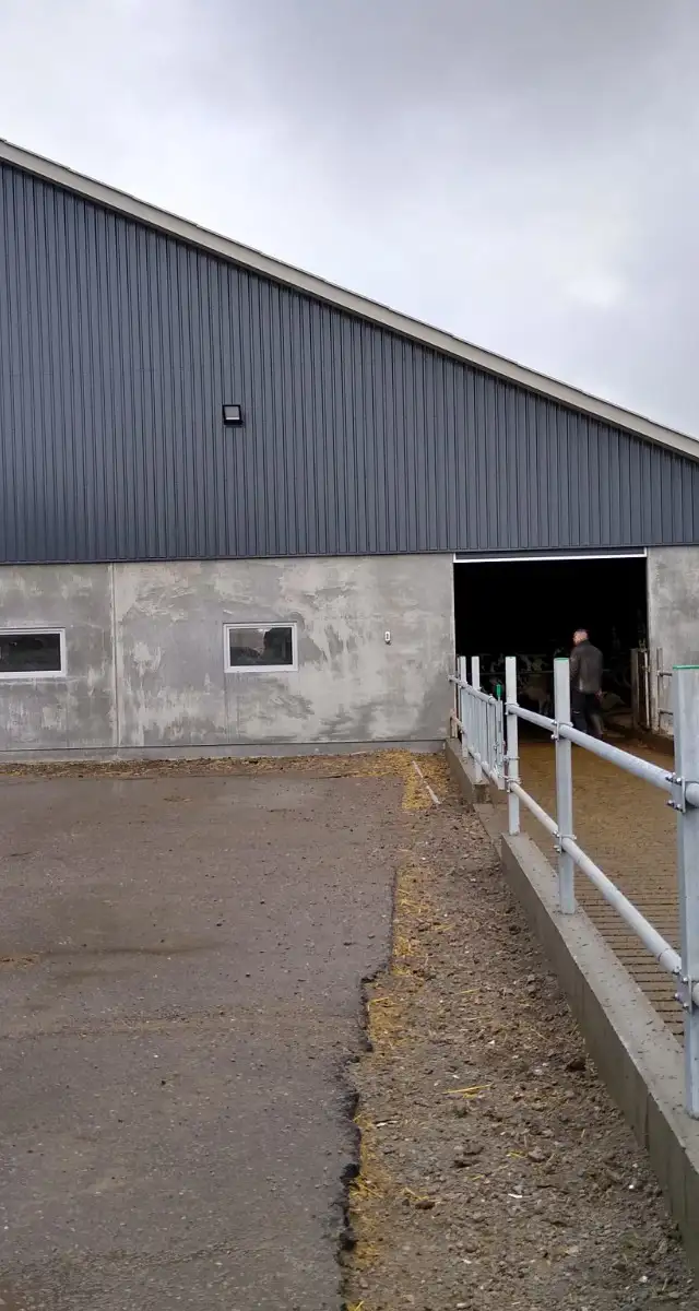 Ny velfærdstald hos Nygaard Langetved Aps i Rødding