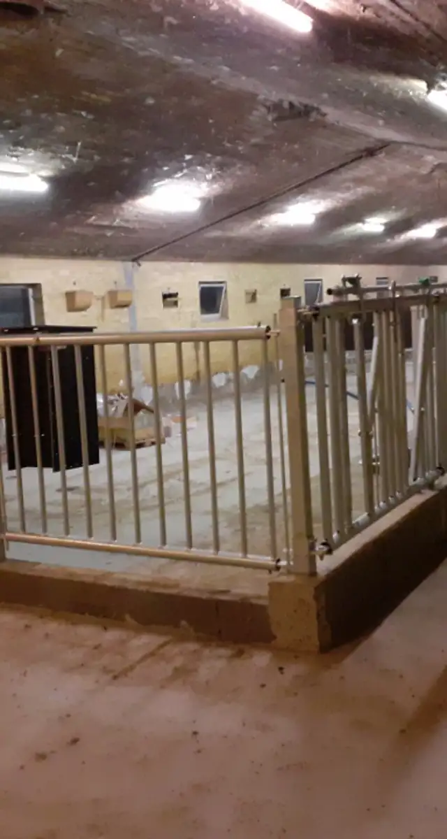 Ombygget svinestald til ungdyrstald i Juelsminde