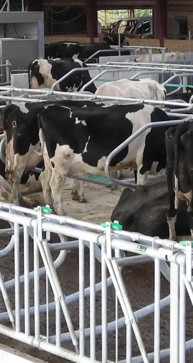 Sammen finder vi løsningen