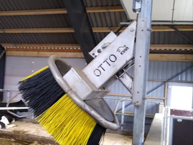 Otto tallerken børste