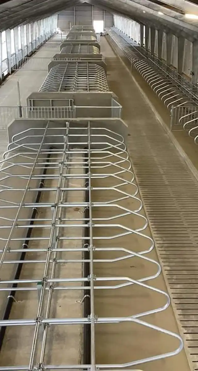 Nybygget ungdyrstald i Bevtoft