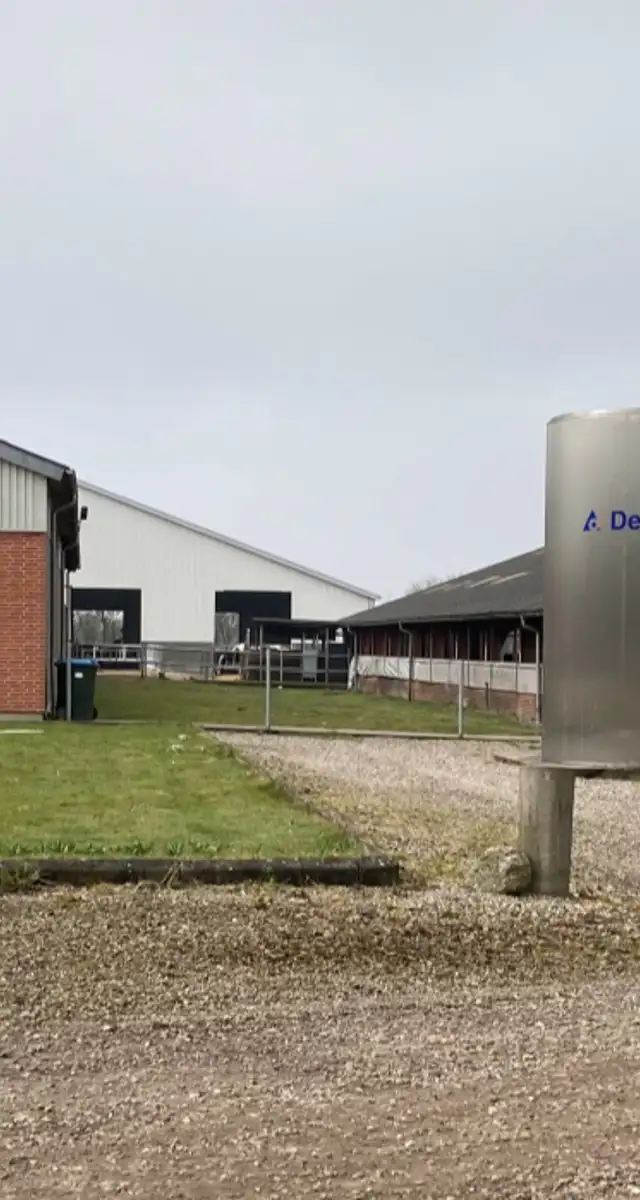 Nybygget velfærdsstald ved Toftlund