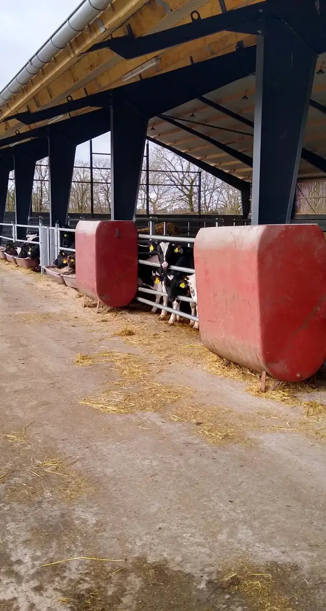 Ny fedekalvestald i Bording