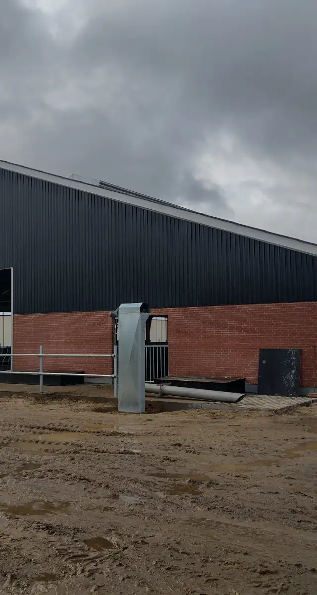 Ny ungdyrstald i Brædstrup