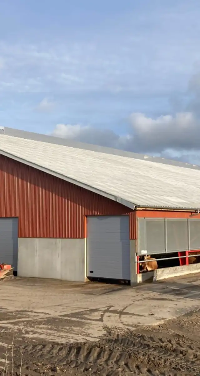 Ny løsdriftsstald Skårup ved Svendborg