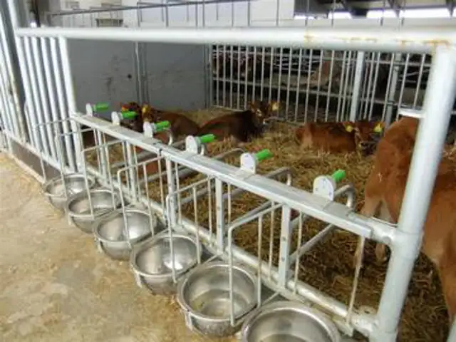 Flytbar skåleholder