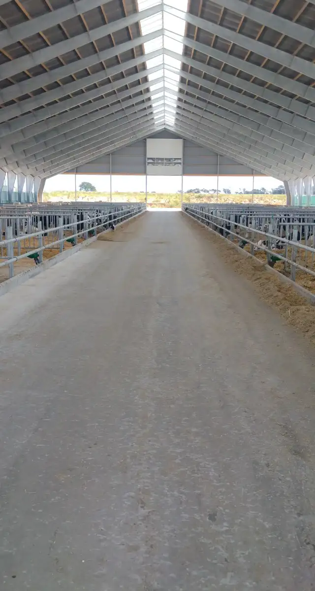 To nye kalvestalde i Løgumkloster