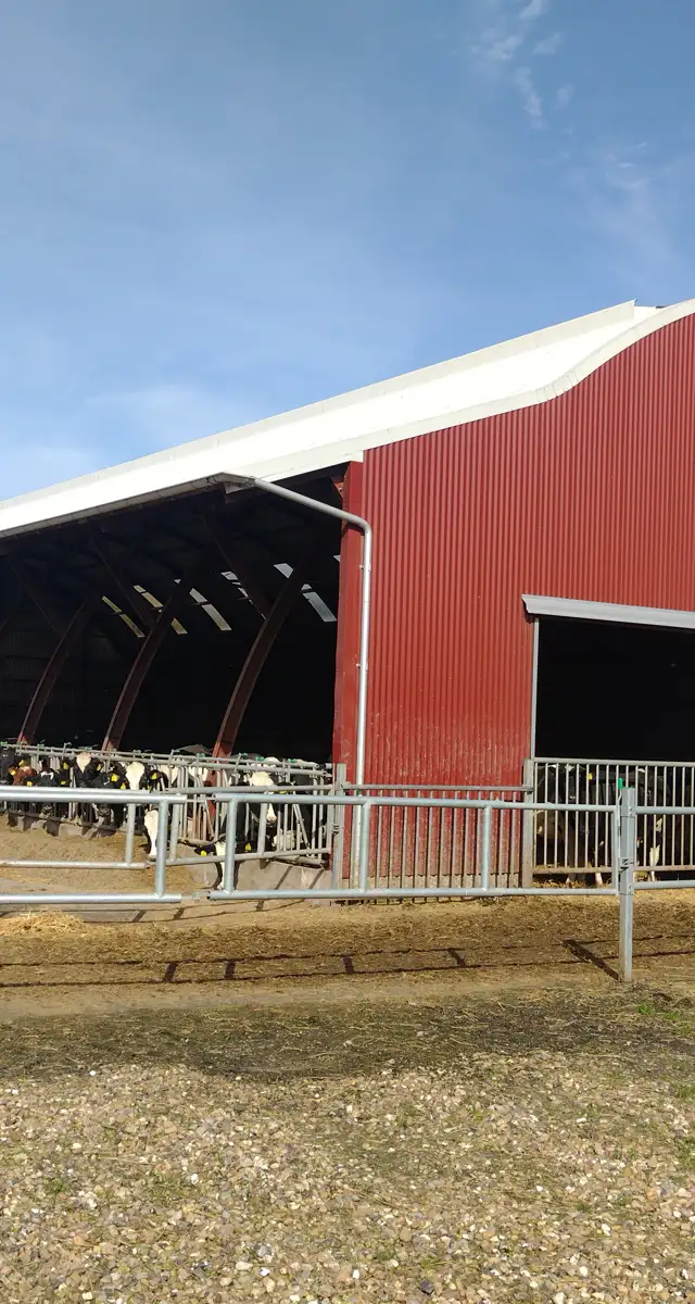 Ny velfærdsstald i Hemmet